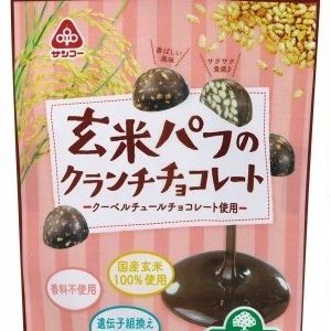 チョコ・半生】 of お菓子のサンコー